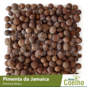 Pimenta da Jamaica